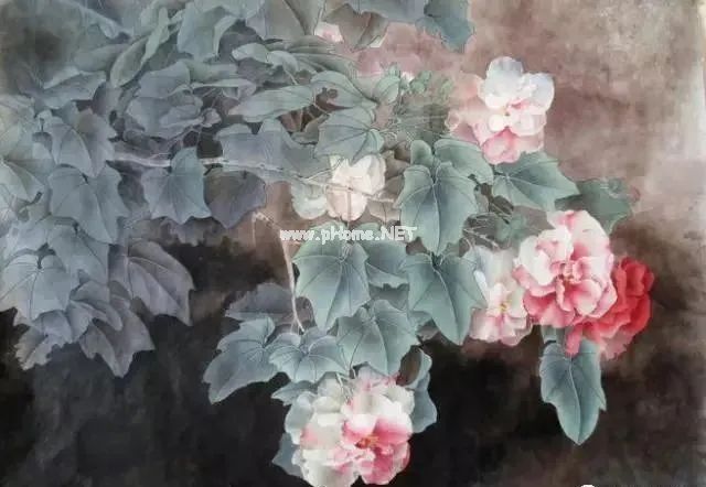 这50条不是谣言,是一辈子行医的总结,记住了, 这50条不是谣言,是一辈子行医的总结,记住了,