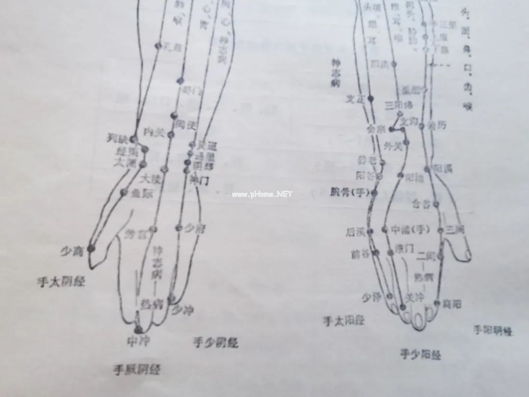 春天给孩子捋手指，用爱预防风热！