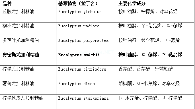 史密斯尤加利精油--呼吸道的守护神