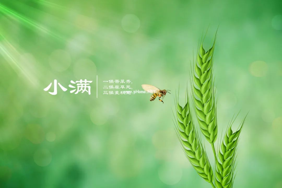 小满后，祛湿热、补津液，守护脾胃！