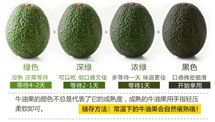 牛油果到底增肥还是减肥？150名超重人士告诉你答案
