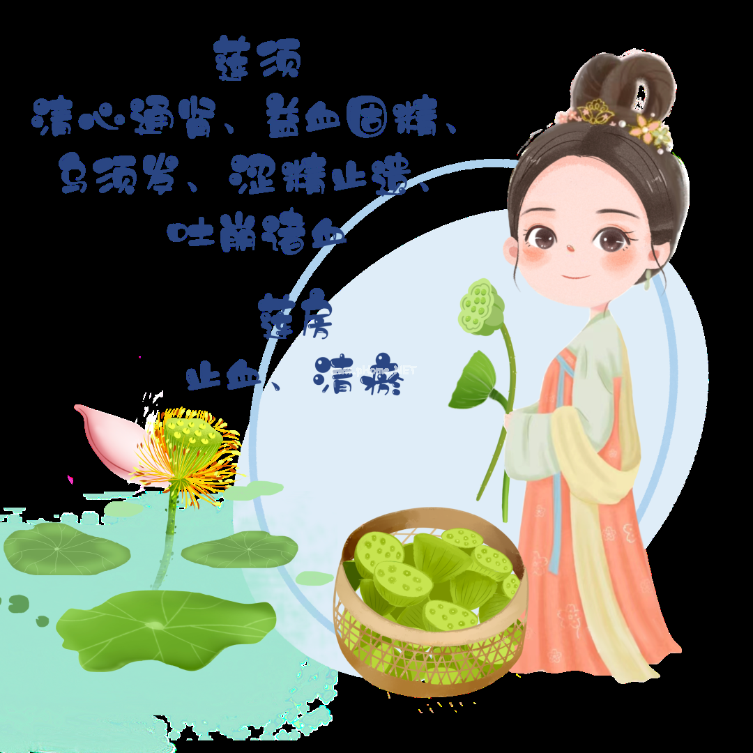 夏已至——藏在节气里的中药