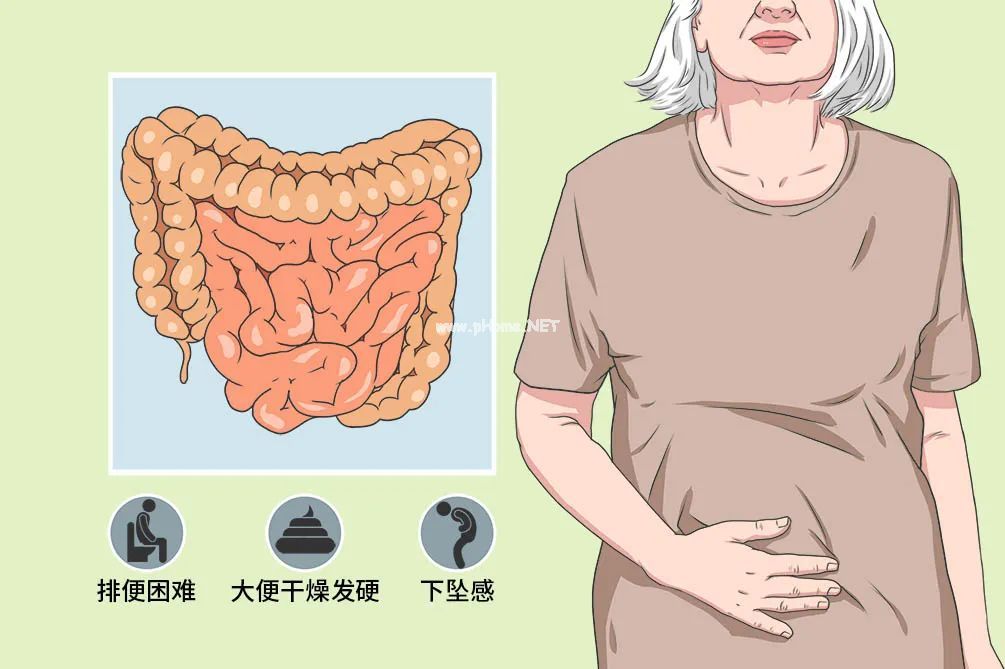它是“天然开塞露”，三天两头吃一次，口臭消失了，大肚子变小了
