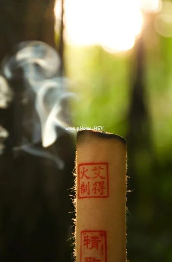 嘴馋发现了原来艾叶好处多