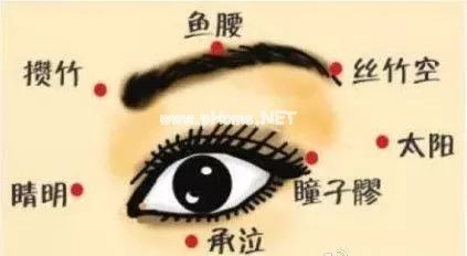 保护视力，中医有方！（真人指导）