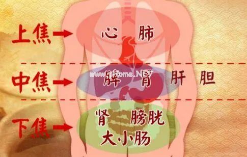 搞懂了人体“三焦”，所有疑难杂症，都迎刃而解！