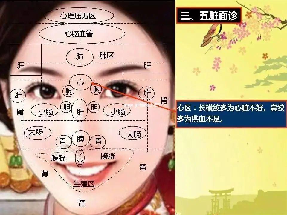 手诊、面诊、眼诊、嘴诊【收藏学习】