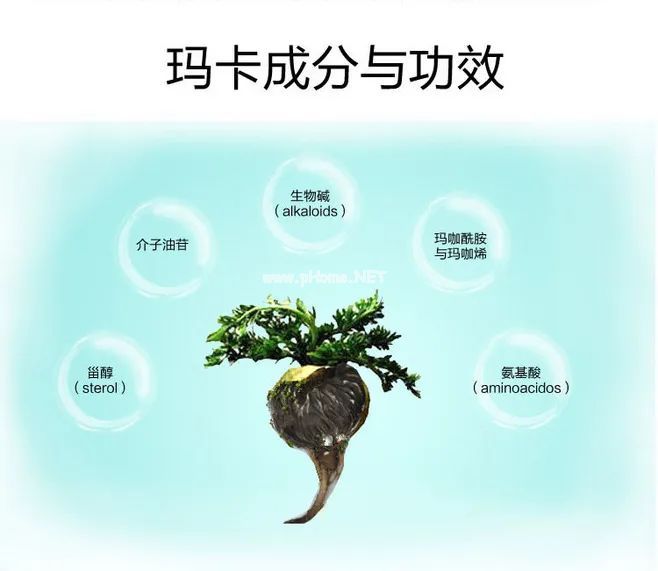 生物界的“伟哥”不仅是男人的加油站，更是女人的保养品