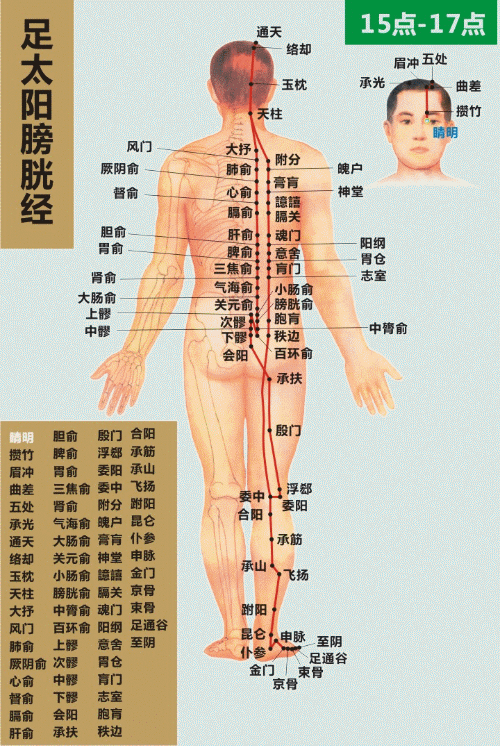 百岁妇科老中医透露:2种食物我从不吃!女人一辈子的6条养生秘笈 百岁妇科老中医透露:2种食物我从不吃!女人一辈子的6条养生秘笈