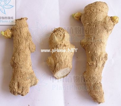 姜的妙用