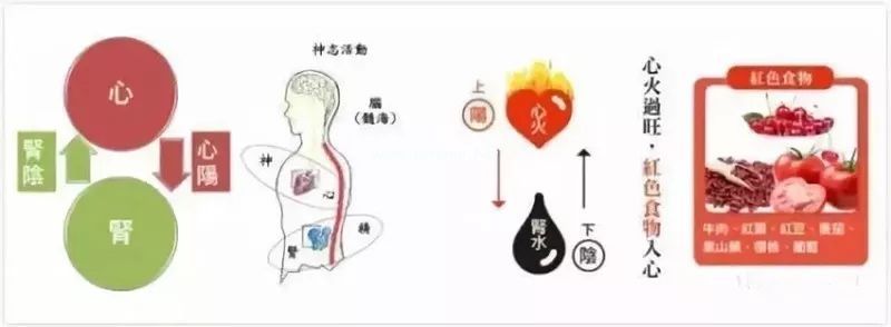 图解中医，33条帮你更好地了解中医思维！