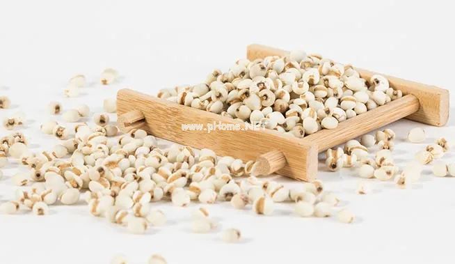 十大祛湿食材，各有什么不同？