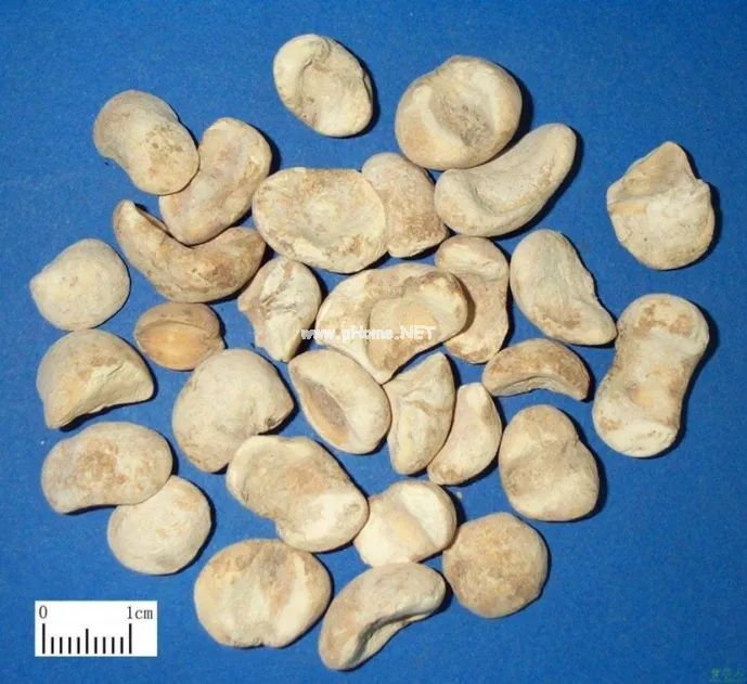 这3对名称相似的中药，你用对了吗？