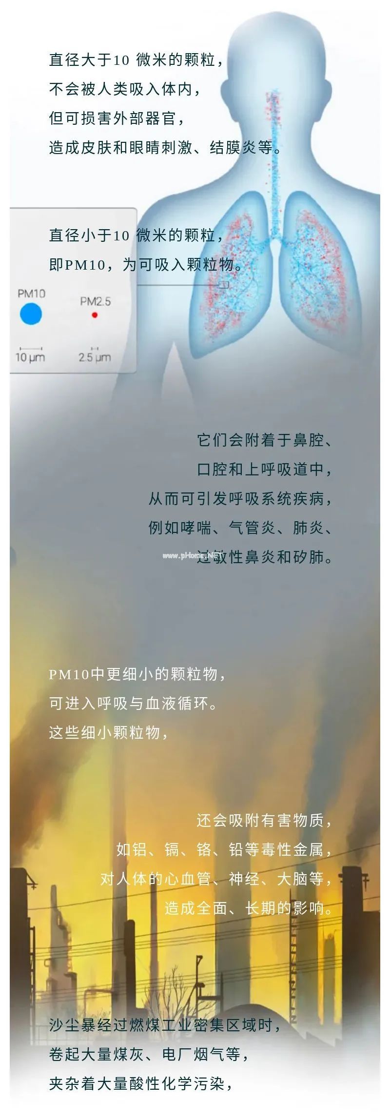 真的，你根本躲不过沙尘暴