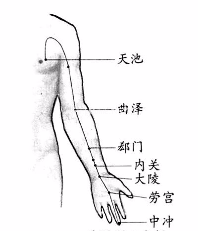 早养胃，午养心，晚养百脉，每天这样做才叫养生！
