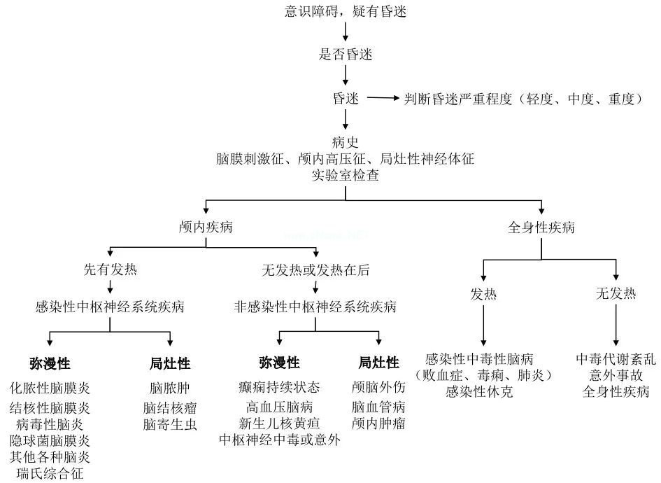3岁女孩突发意识不清，病因原来是……