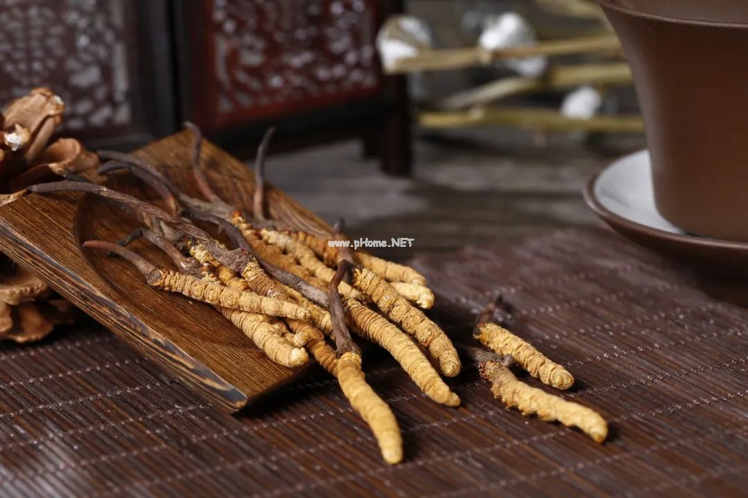 号称“软黄金”的冬虫夏草，还拥有着不可复制的神话吗？
