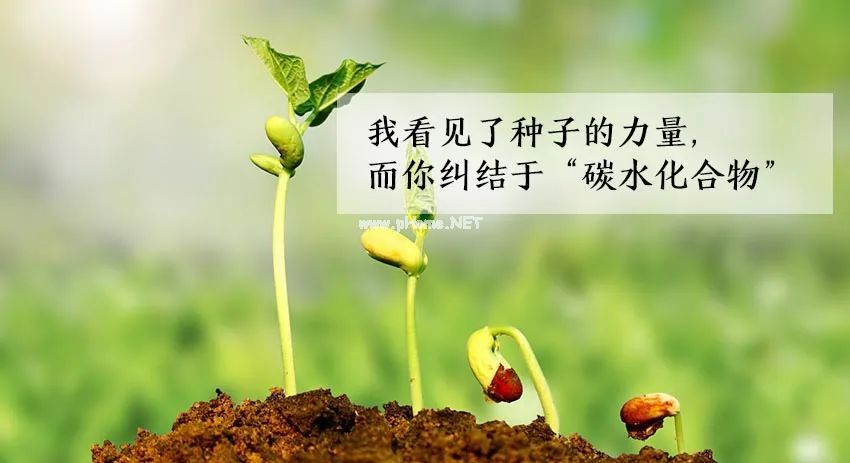 清明|身清、心明，需要蔬菜能量的加持！