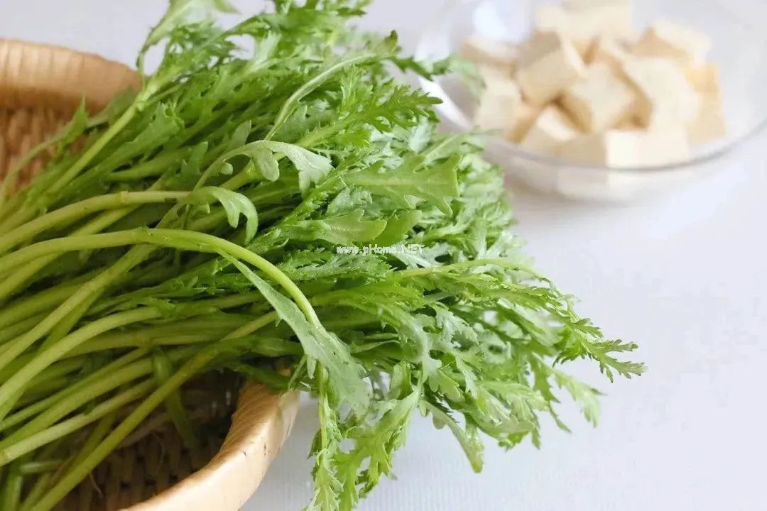 春天，别让肝火，困住孩子的脾胃！