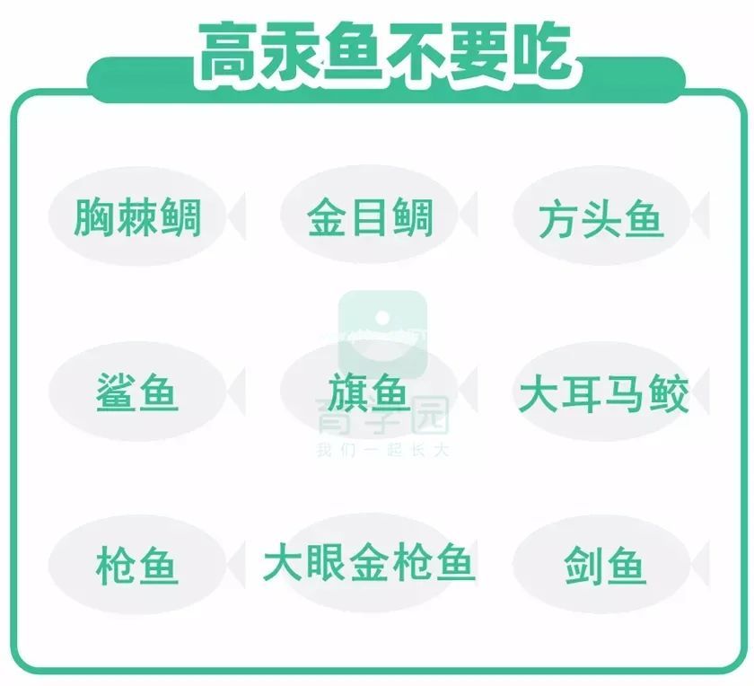 孩子吃鱼更聪明？这4种鱼一口都别多吃！