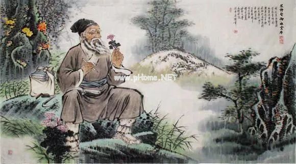 紫苏全身都是宝，治疗风寒感冒有特效