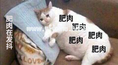 想让宝宝长胖点？当心影响身高和xing福