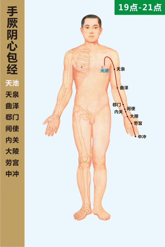用经络养生治病蕞好遵循时辰，附经络动态循行图