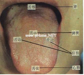 【收藏】61张高清舌诊图谱，图文对照