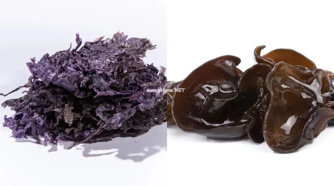 比缺钙更普遍，比缺钱更可怕！缺了这个孩子会变傻！