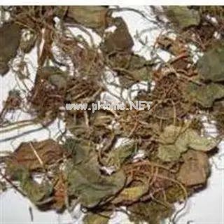 虎年，这些带“虎”的中药你可知晓