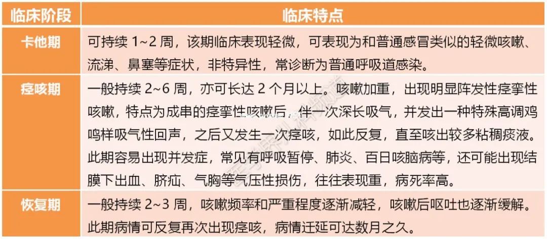百日咳怎么才能尽早诊断？看完这篇就明白了……