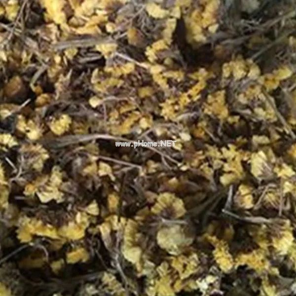 这些好听的中药，你认识几个？