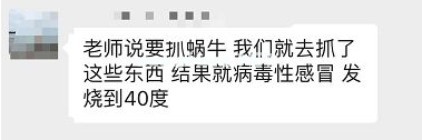 下雨后看到这种动物，千万别碰！立刻弄死！