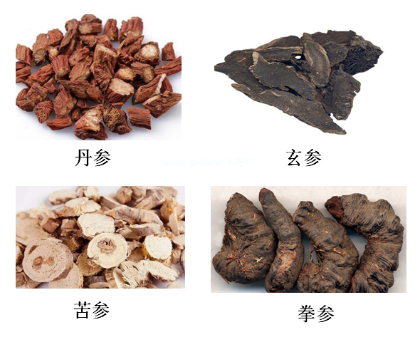 手把手教你认识各种“参” 手把手教你认识各种“参”
