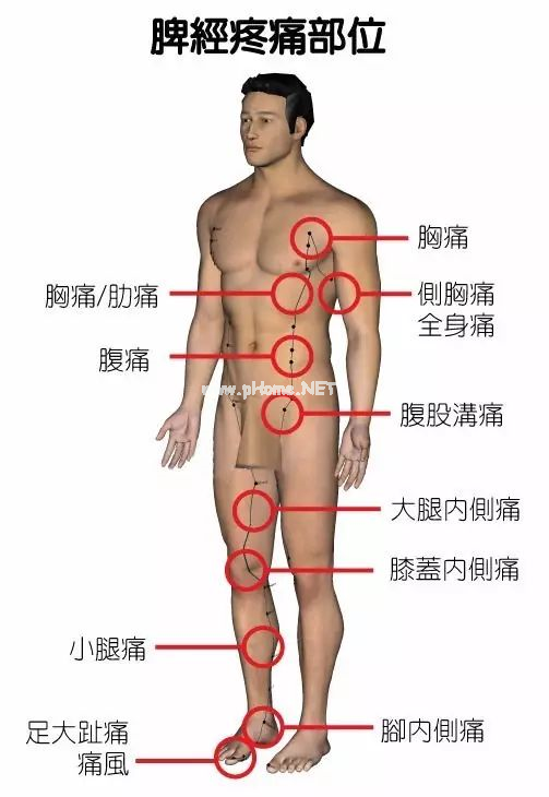 最全身体疼痛对照表，看看你到底是哪儿堵了？