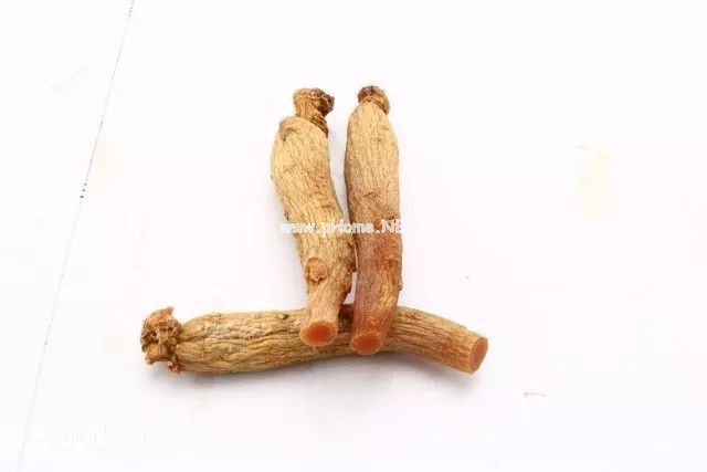 冬季进补，你准备好了吗？ 滋补佳品——高丽参