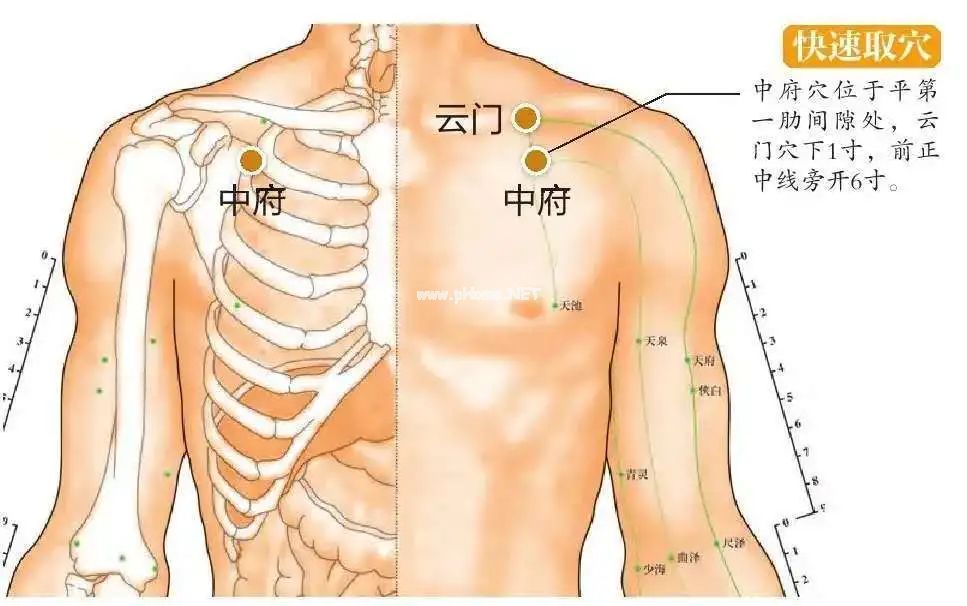 经常咳嗽的孩子，可揉揉这个地方！