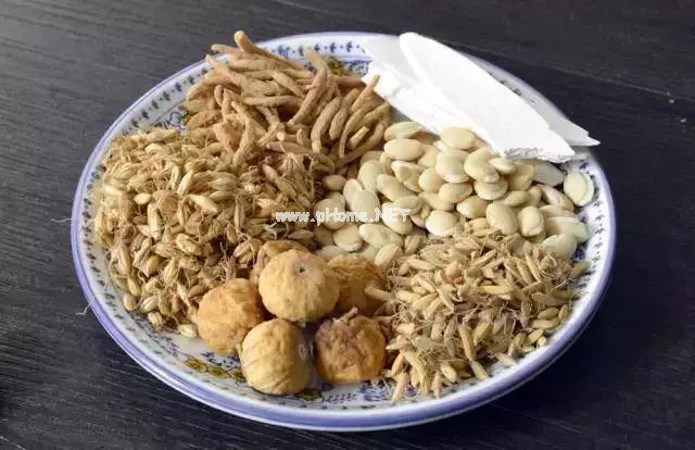 太子参--太子的“参”爱