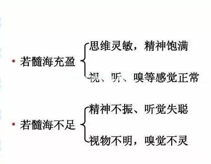 骨髓，对一个人有多么重要？