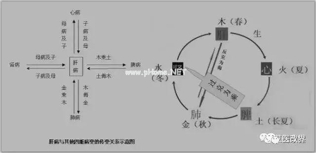 图解中医，33条帮你更好地了解中医思维！