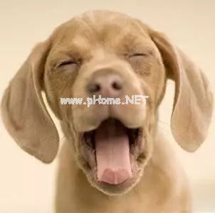 为安宫牛黄丸疯狂打call，它真有那么神吗？