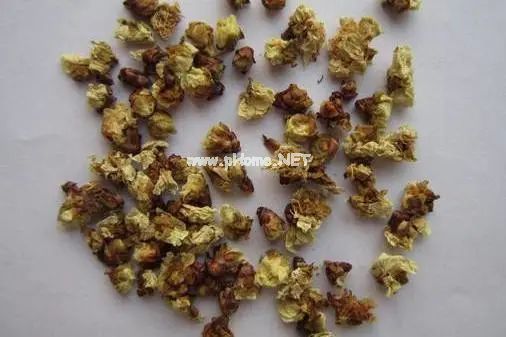 梅花不仅可以观赏，还可以美容、泡茶、煮粥、入药……