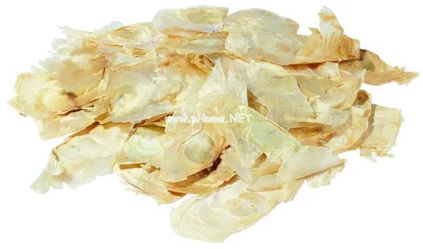 它轻薄似纸美若蝴蝶，却是咳嗽、咽喉失音者的福星