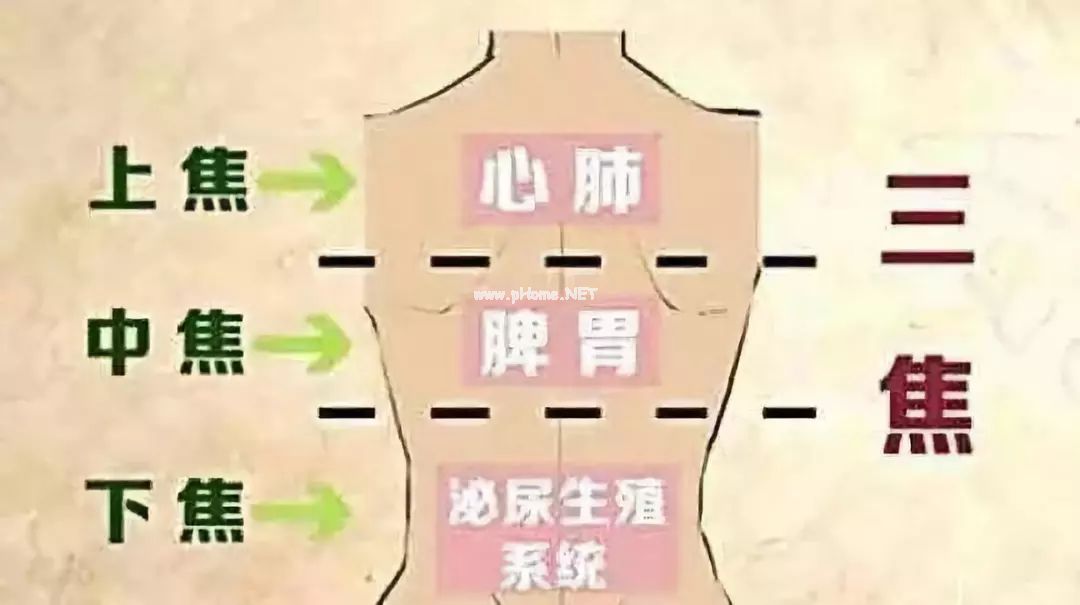 上热下寒，张仲景一个千年古方方子，清热又袪寒！