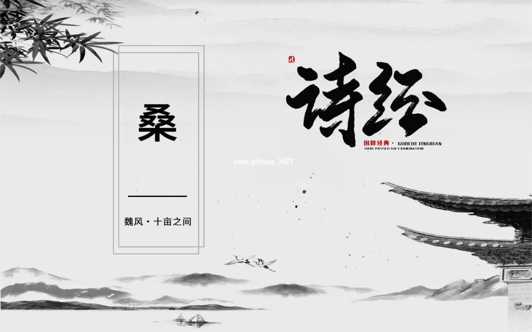 从《诗经》里走出来的中药——桑