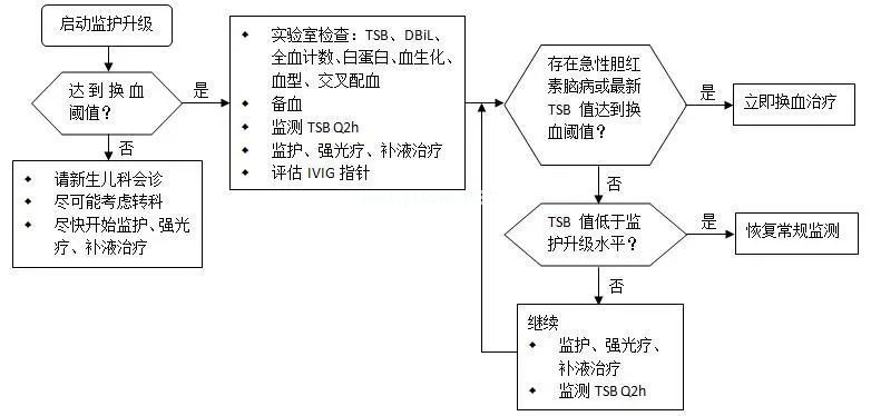 新生儿高胆红素血症如何诊治？可否家庭光疗？一文解答！