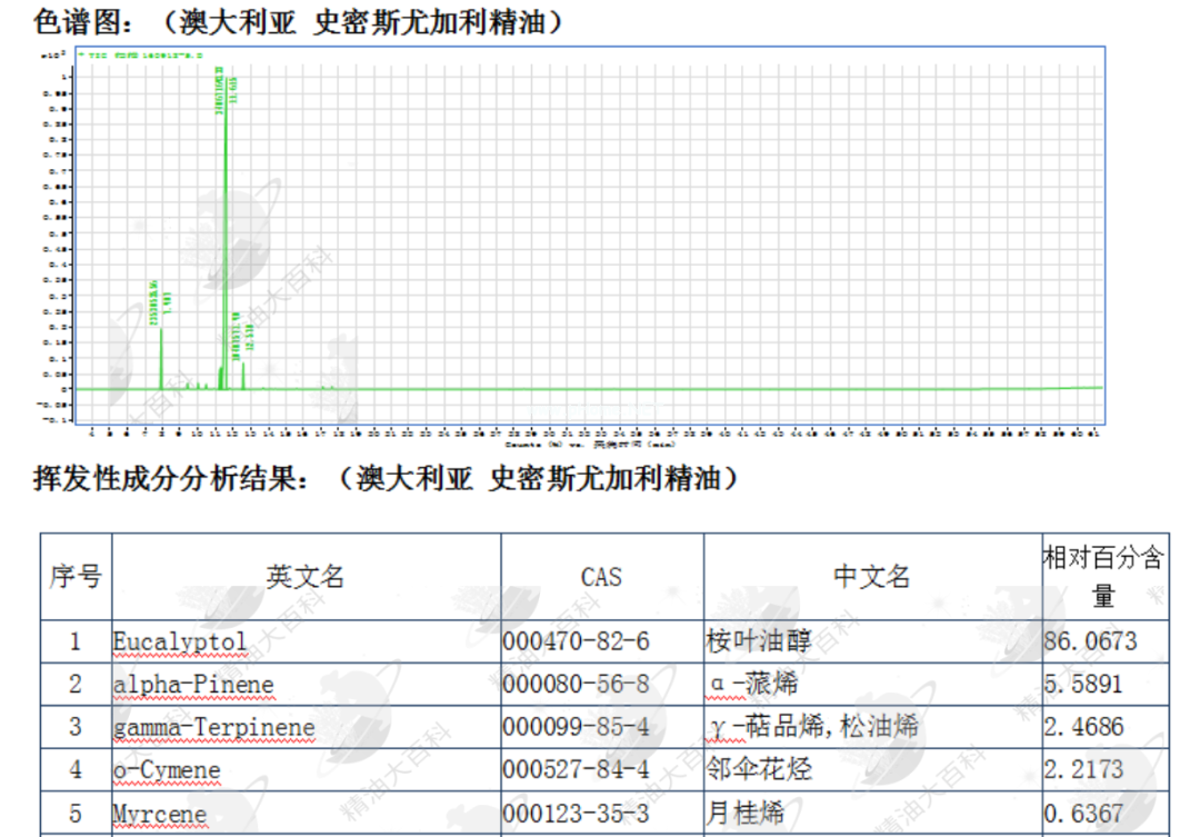 史密斯尤加利精油--呼吸道的守护神