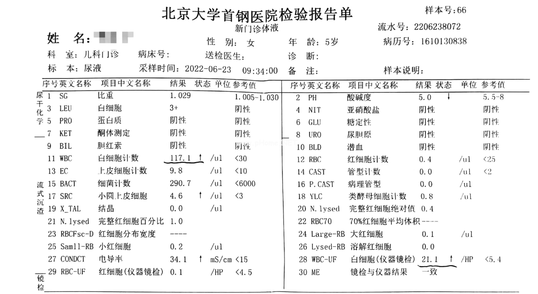 5岁女孩尿道感染治不好？泌尿系统：这锅我不背