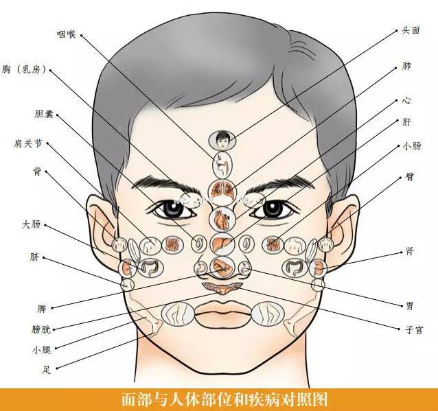 老中医公开～颜面望诊教程【收藏学习】