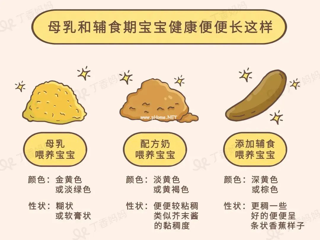 让娃很会拉屎的食物大比拼，香蕉居然没上榜，火龙果才排最后一名